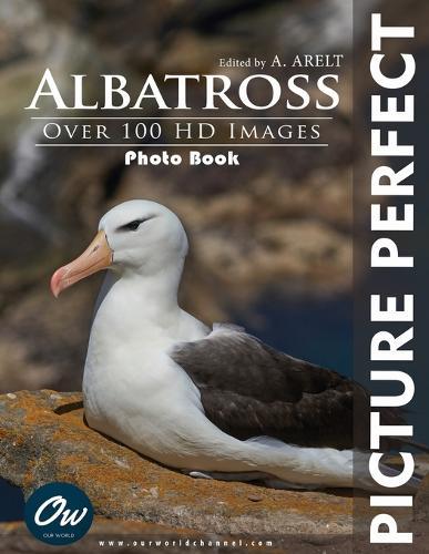 Albatross: Picture Perfect Photo Book