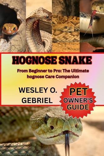 Hognose Snake: From Beginner to Pro: The Ultimate hognose Care Companion