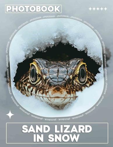 Sand Lizard in Snow Photo Book: Explore Unique Landscapes Featuring 40 Stunning Images Of Lizards In Winter Environments