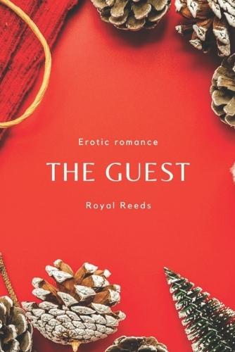 The Guest: Erotic Romance