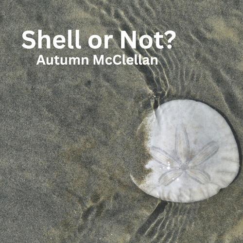 Shell or Not?