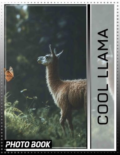 Cool Llama Photo Book: 40 Unique Images Celebrating The Charm And Quirkiness Of Llamas For Animal Lovers