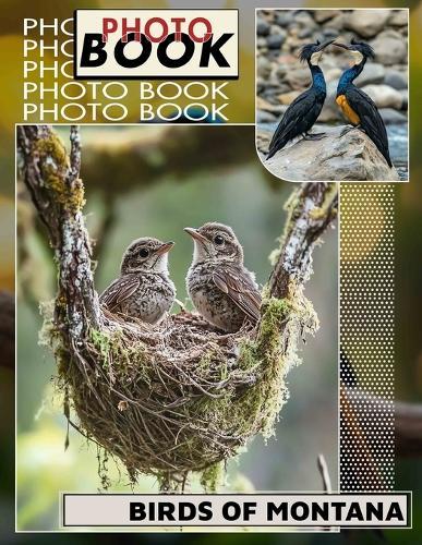 Birds of Montana Photo Book: Explore 40 Stunning Images Showcasing Montana's Unique Avian Wildlife For Nature Enthusiasts
