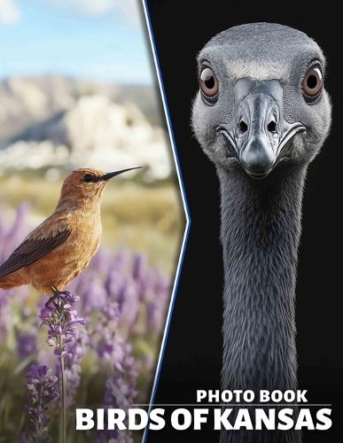 Birds of Kansas Photo Book: Explore 40 Stunning Images Showcasing Kansas' Avian Wildlife For Enthusiasts And Nature Lovers