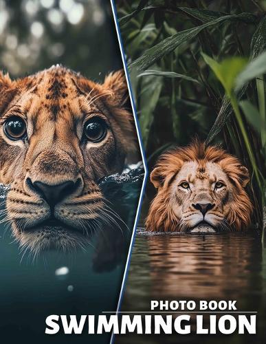 Swimming Lion Photo Book: Experience 40 Stunning Images Showcasing Lions in Water, Ideal for Animal Lovers