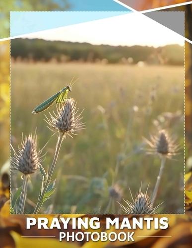 Praying Mantis Photo Book: Explore Nature's Intriguing Predator Through 40 Stunning Images Of This Unique Insect