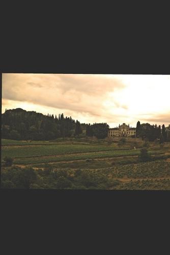 One Night in the Glowing House