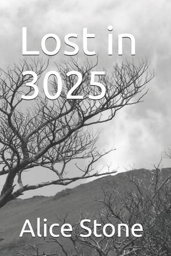 Lost in 3025