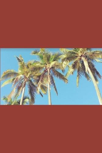 B'ajlom ii Nkotz'i'j Publications' A Concise Pame Grammar