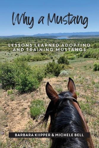 Why a Mustang: Lessons Learned Adopting and Training Mustangs