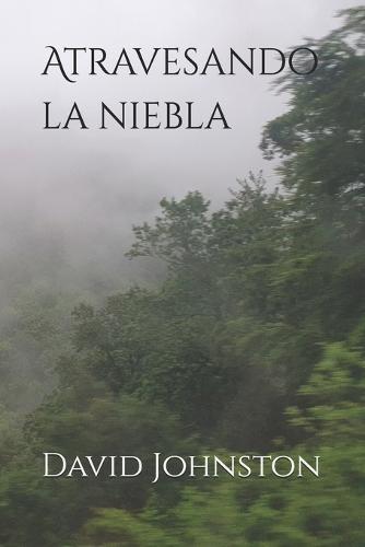 Atravesando la niebla
