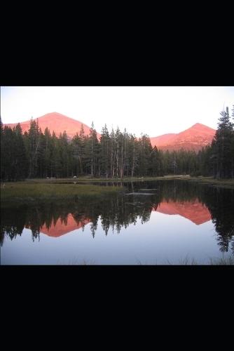 A Thought Shared: Is a Shared Thought