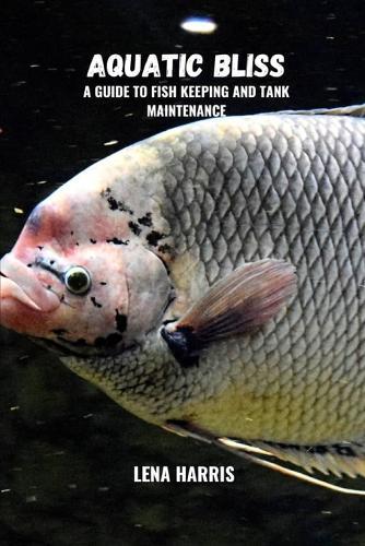 Aquatic bliss: A guide to fish keeping and tank maintenance