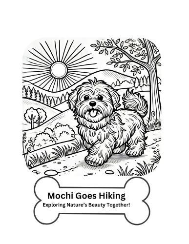 Mochi Goes Hiking! Exploring Nature's Beauty Together!: Havanese dog hiking