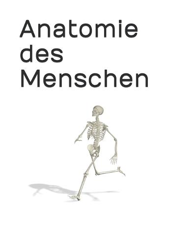 Anatomie des Menschen