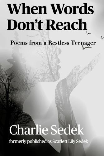 When Words Don't Reach: Poems from a Restless Teenager