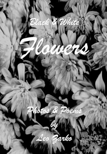 Black and White Flowers