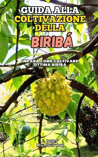 Guida alla Coltivazione della Biribá: Impara come coltivare ottima Biribá