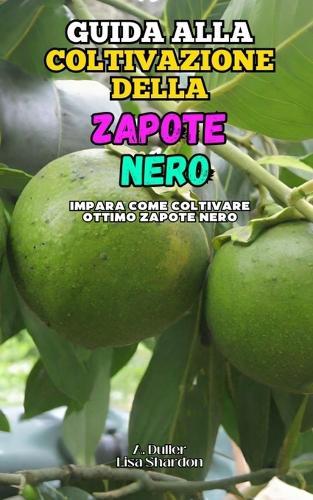 Guida alla Coltivazione della Zapote Nero: Impara come coltivare ottimo Zapote Nero