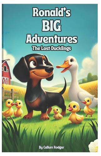 Ronald's BIG Adventures: The Lost Ducklings
