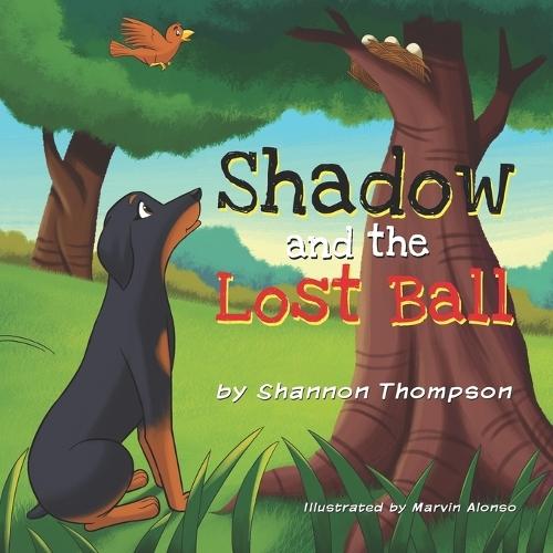 Shadow and the Lost Ball