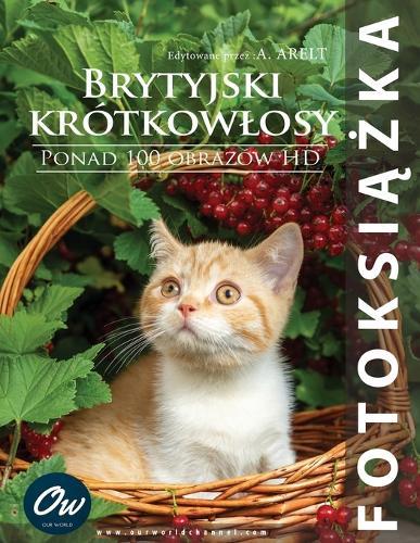 Brytyjski krótkowlosy: Fotoksiążka