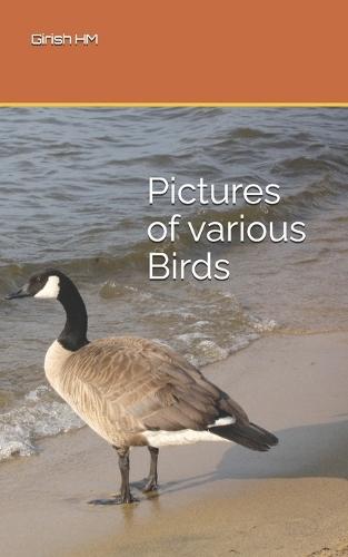 Pictures of various Birds