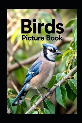 Birds Picture Book