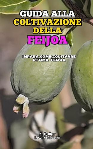 Guida alla Coltivazione della Feijoa: Impara come coltivare ottimo Feijoa