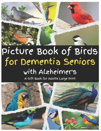 Picture Book of Bird for Alzheimer's or Dementia Patients