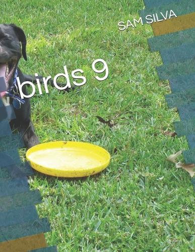 birds 9