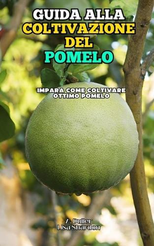 Guida alla Coltivazione del Pomelo: Impara come coltivare ottimo Pomelo