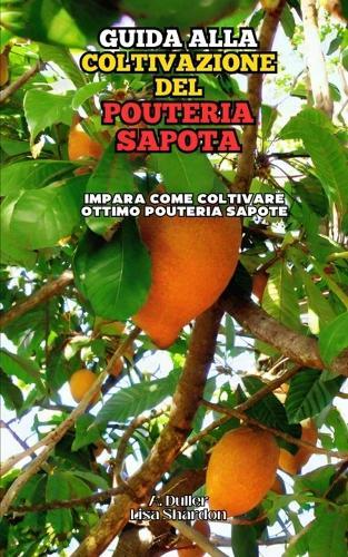 Guida alla Coltivazione del Pouteria Sapota: Impara come coltivare ottimo Pouteria Sapota