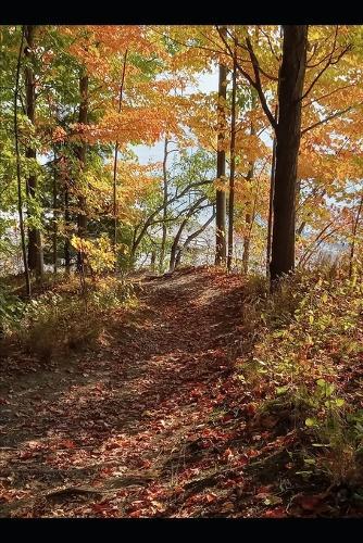 Why Kindness Is Not Random: A Guide to Nurturing Altruism