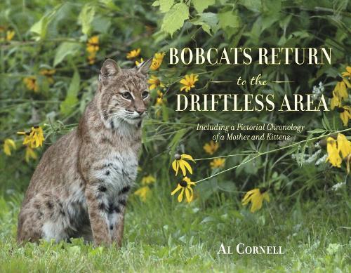 Bobcats Return to the Driftless Area: Including a Pictorial Chronology of a Mother and Kittens