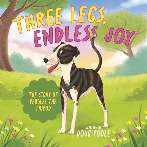 Three Legs - Endless Joy: The Story of Pebbles the Tripod