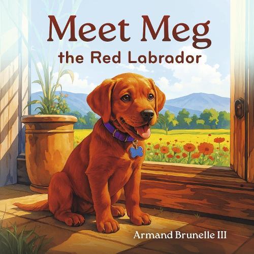 Meet Meg the Red Labrador