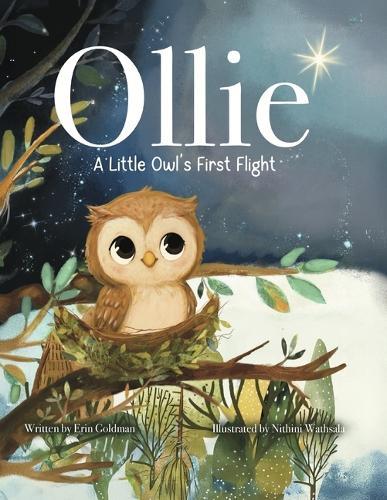 Ollie: A Little Owl's First Flight