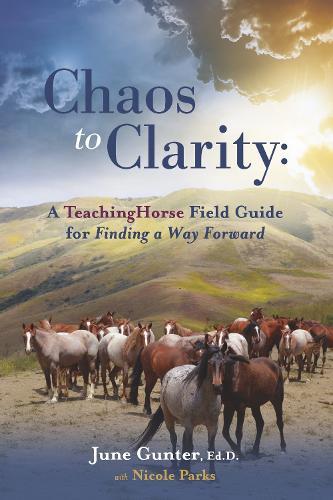 Chaos to Clarity: A TeachingHorse Field Guide for Finding a Way Forward