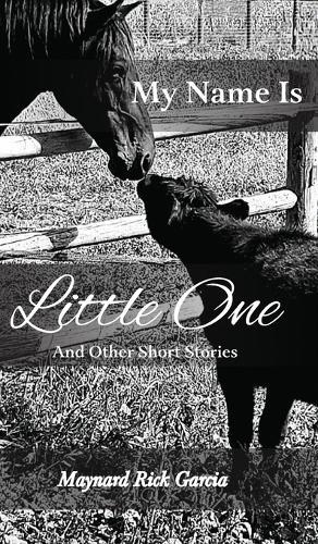 My Name Is Little One: And Other Short Stories
