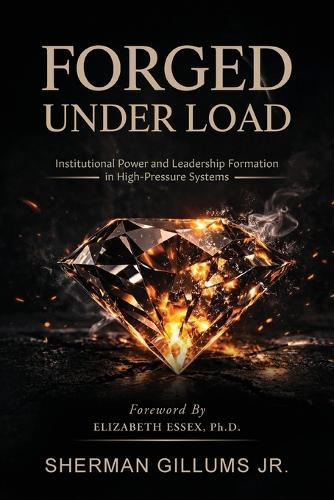 Forged Under Load: Institutional Power and Leadership Formation in High-Pressure Systems