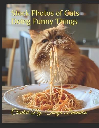 Stock Photos of Cats Doing Funny Things