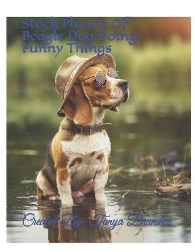 Stock Photos Of Beagle Dog Doing Funny Things