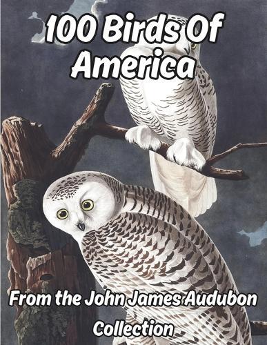 100 Birds of America VOLUME 1: from the John James Audubon collection, images with premium colors