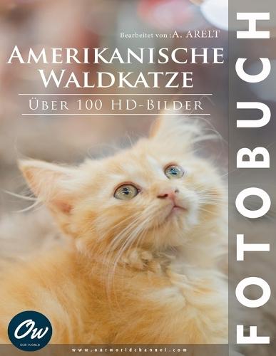 Amerikanische Waldkatze: Fotobuch - Über 100 HD-Bilder