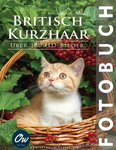 Britisch Kurzhaar: Fotobuch - Über 100 HD-Bilder