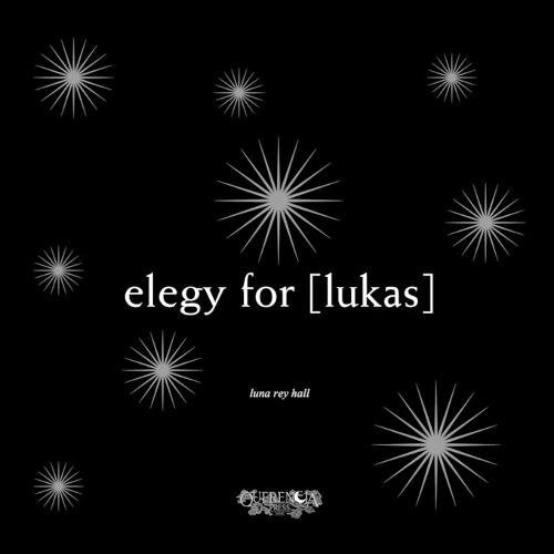 elegy for [lukas]