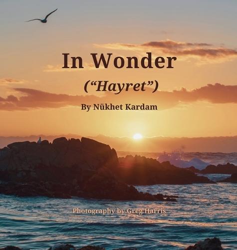 In Wonder (""Hayret"")