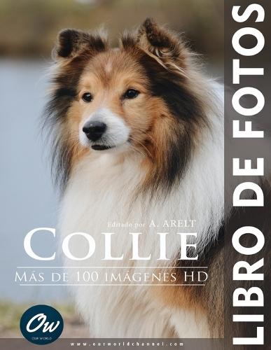 Collie: Libro de fotos - Más de 100 imágenes HD