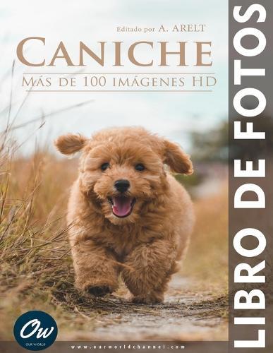 Caniche: Libro de fotos - Más de 100 imágenes HD